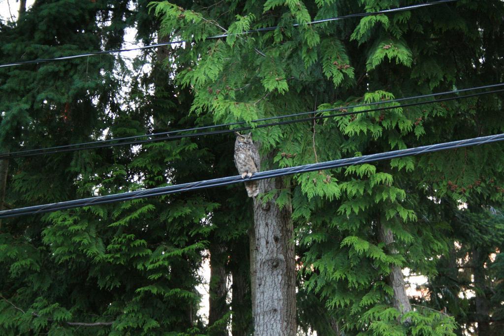 At Nautica Tigh Private Keypad Entrances Bed & Breakfast Qualicum Beach Luaran gambar